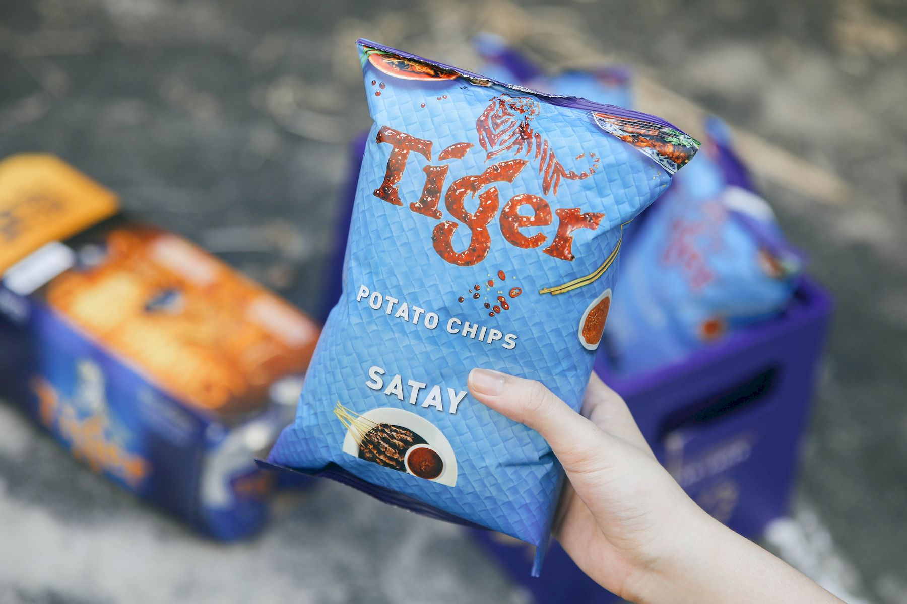 Tiger Beer Satay Potato Chips (1)