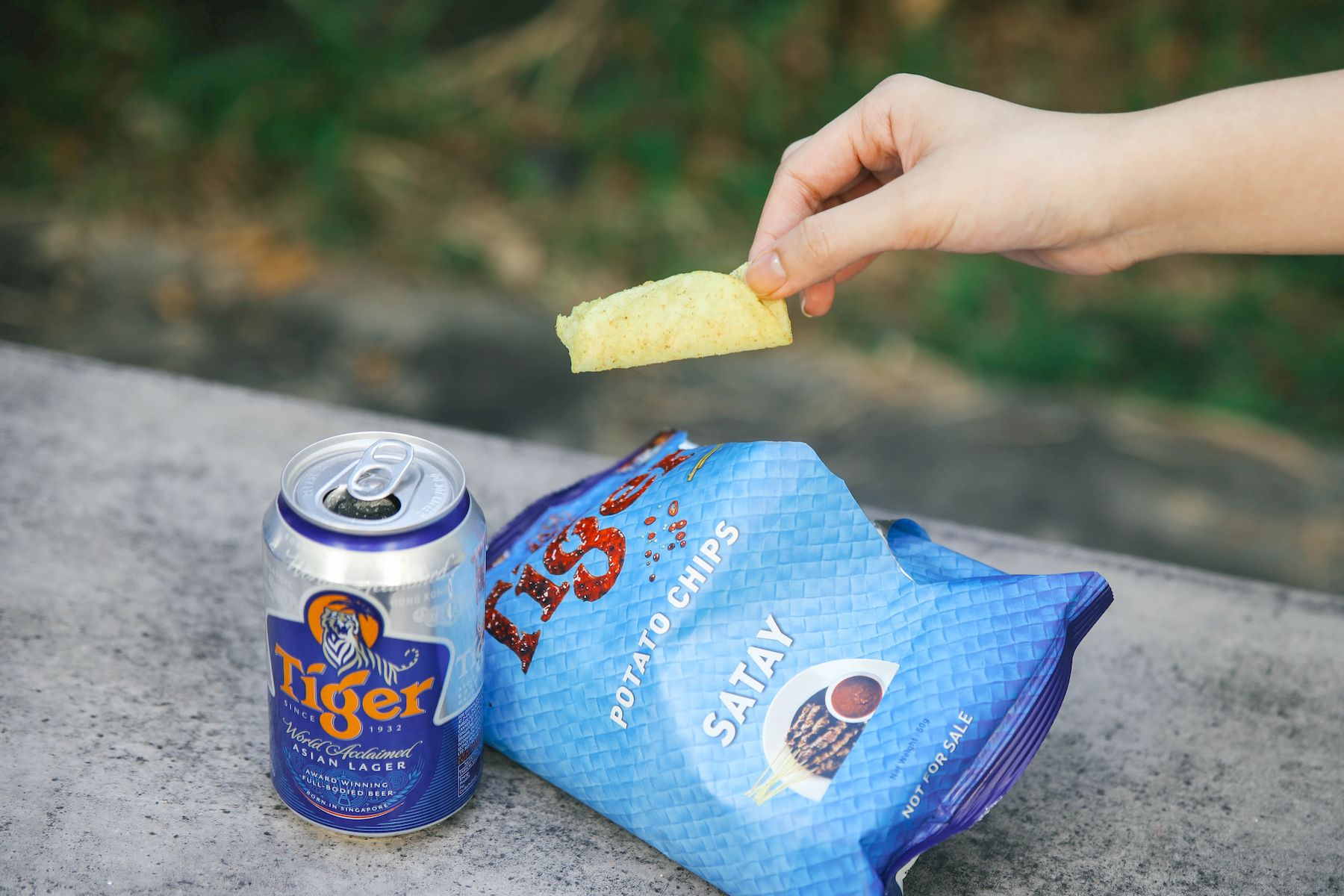 Tiger Beer Satay Potato Chips (6)