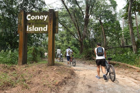 Cyclist at Coney Island Park_CreditNParks_480x320