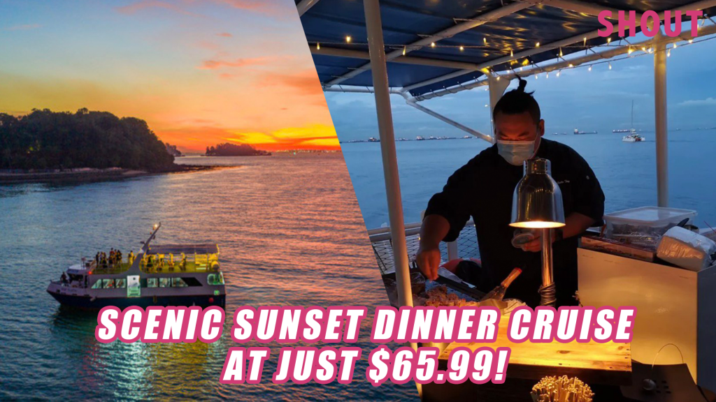 PANORAMIC SUNSET DINNER CRUISE WITH SCENIC SEA VIEWS, ONBOARD CHEF ...