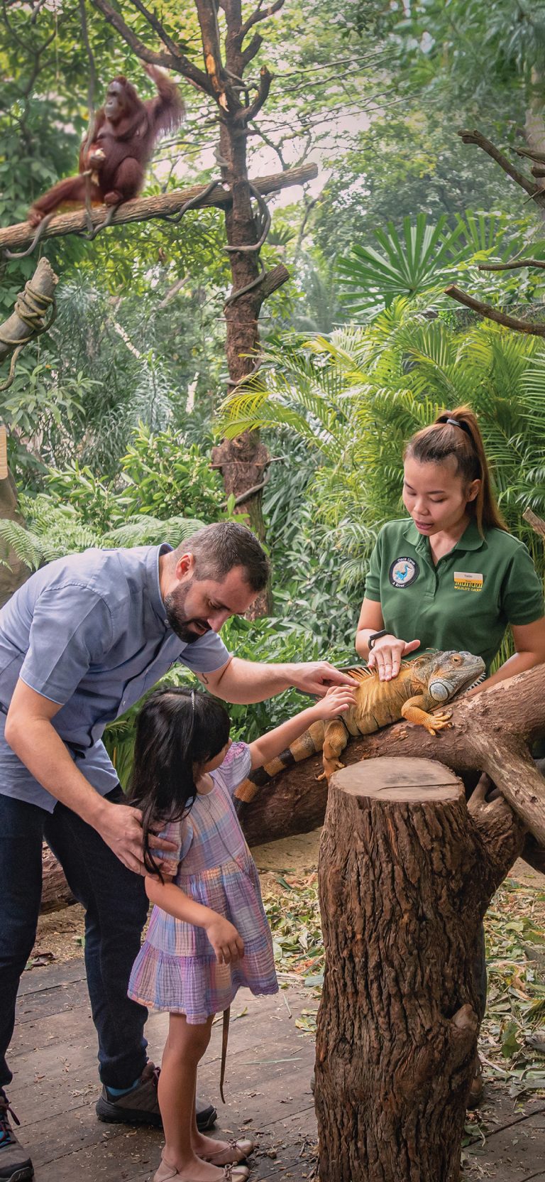 BREAKFAST WITH WILD ANIMALS AT SINGAPORE ZOO IS BACK THIS OCTOBER! - Shout