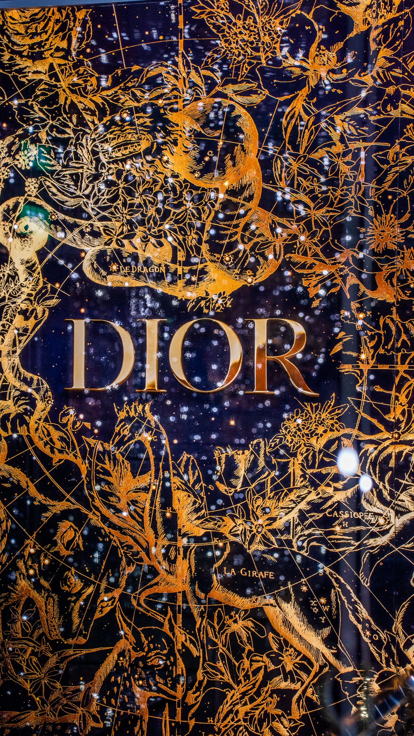 DREAMY DIOR CHRISTMAS POP-UP WITH FREE CUPCAKES, LEMONADE & POSTAL SERVICE  AT ION ORCHARD! - Shout