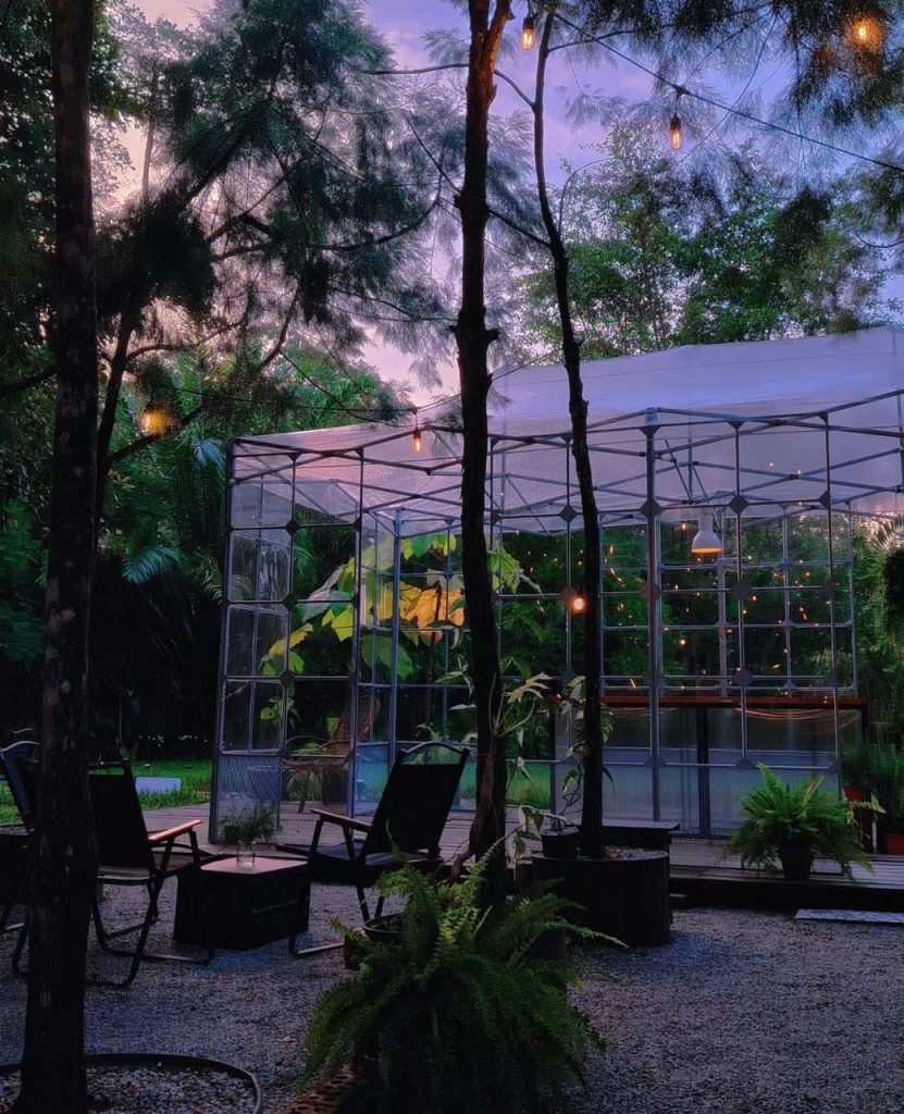 New Scenic Glasshouse CafÉ In Johor Bahru Hidden Within A Lush Forest Shout 6553